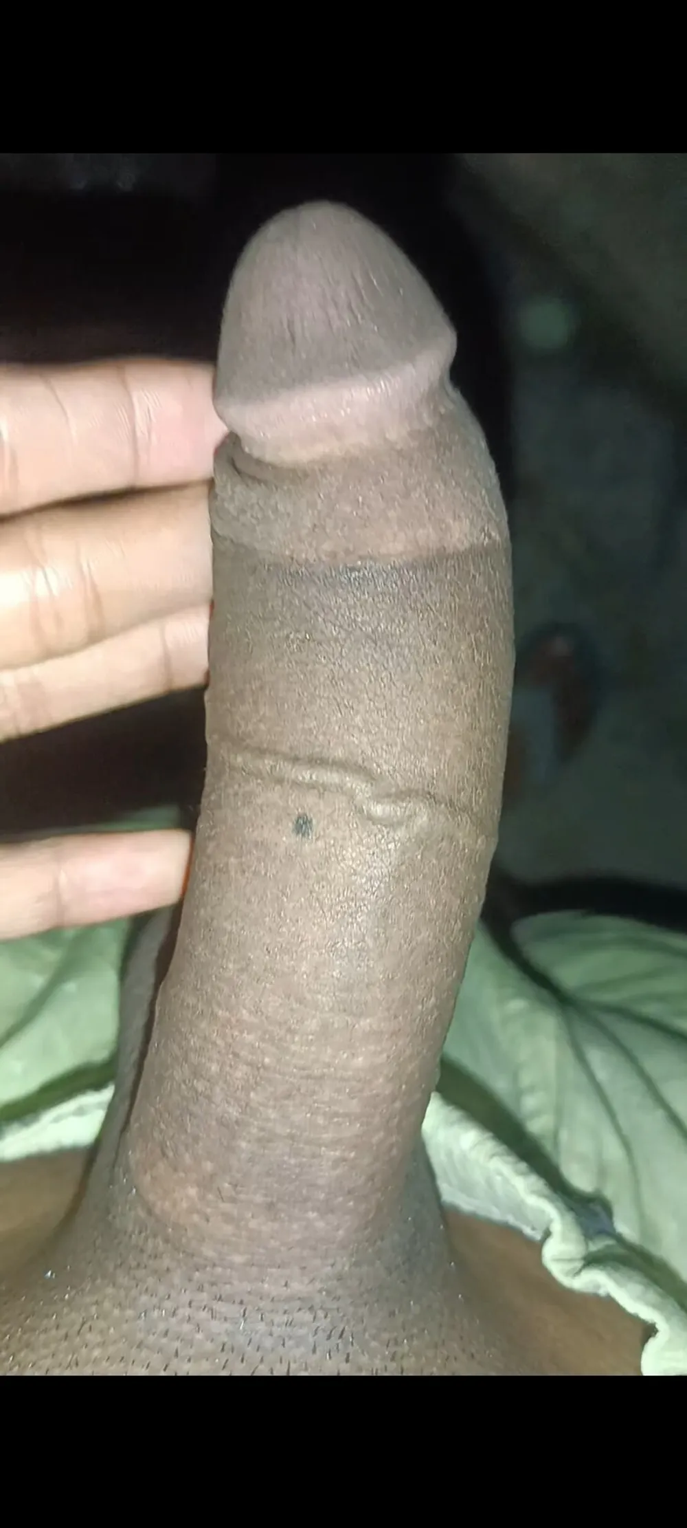 Just penis pic