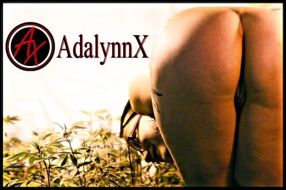 AdalynnX #55