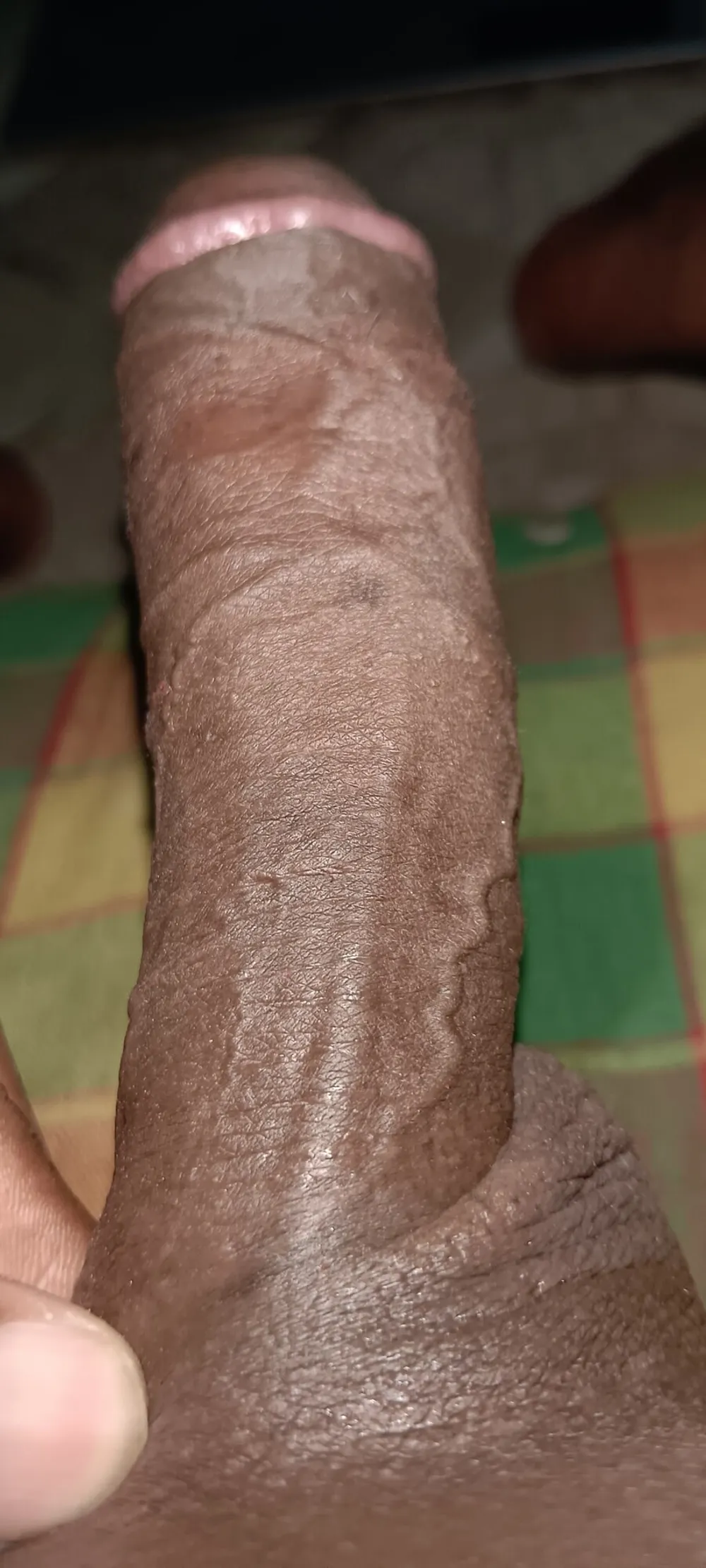 My cock photos #7