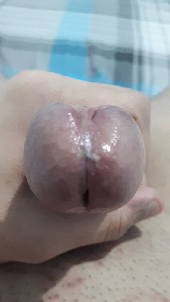 Wet Glans Penis #5