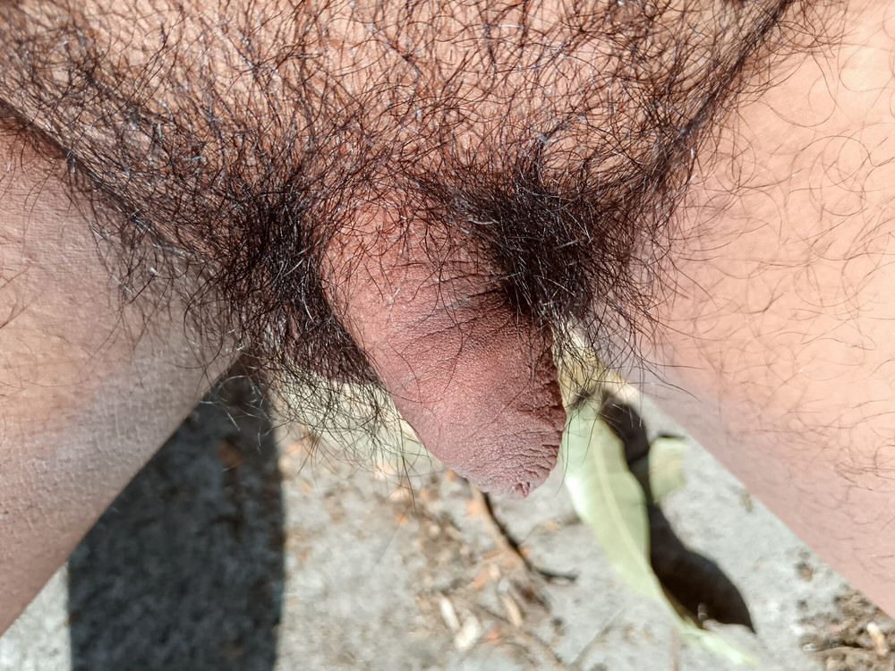 My nice flaccid penis after 9 months without shaving #22
