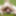 Sweet teenie rimming and fucking old man outdoor