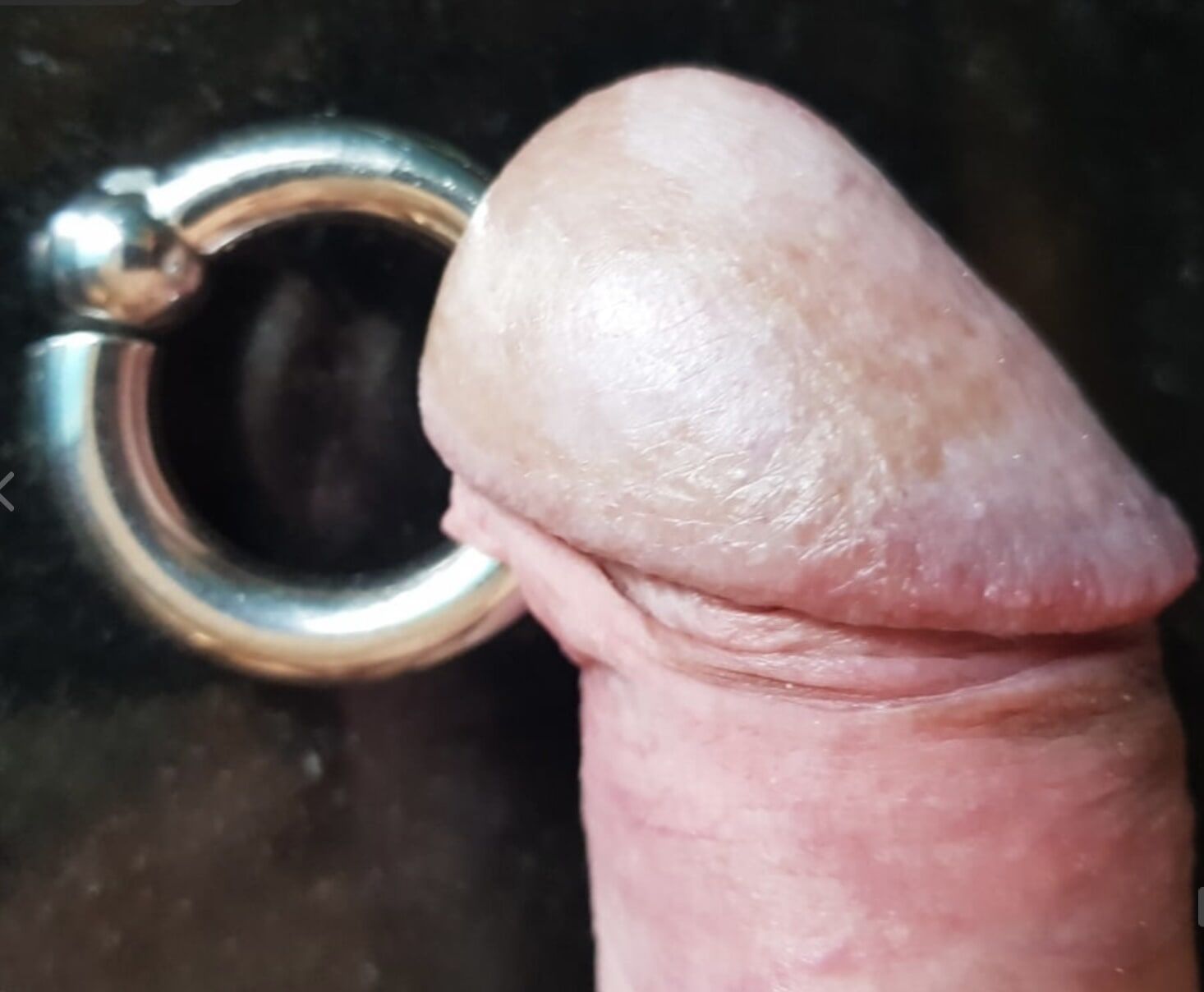 Pierced cock #2