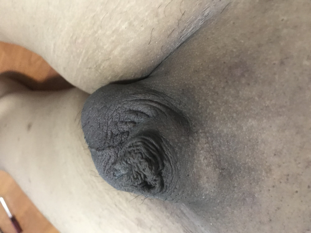 Chubby small dick amateur  #38