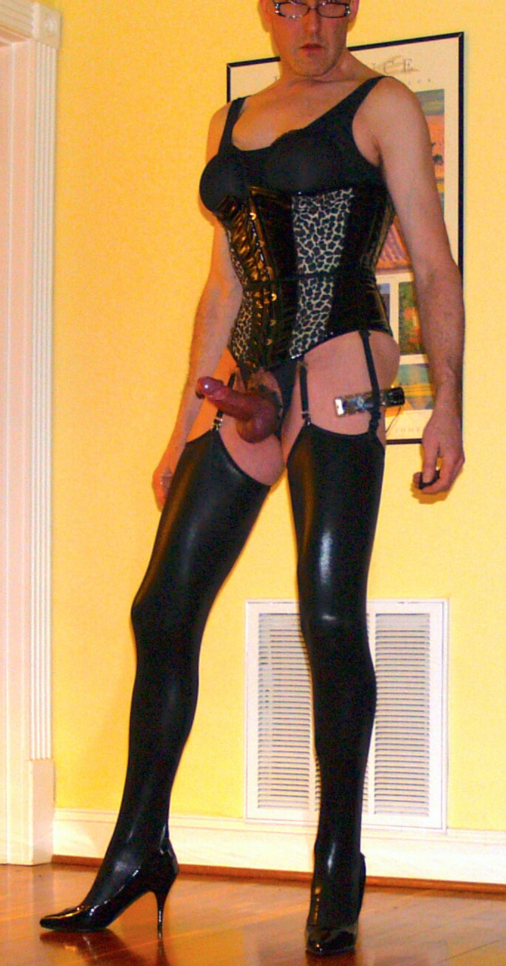 20090217 leopard corset #2