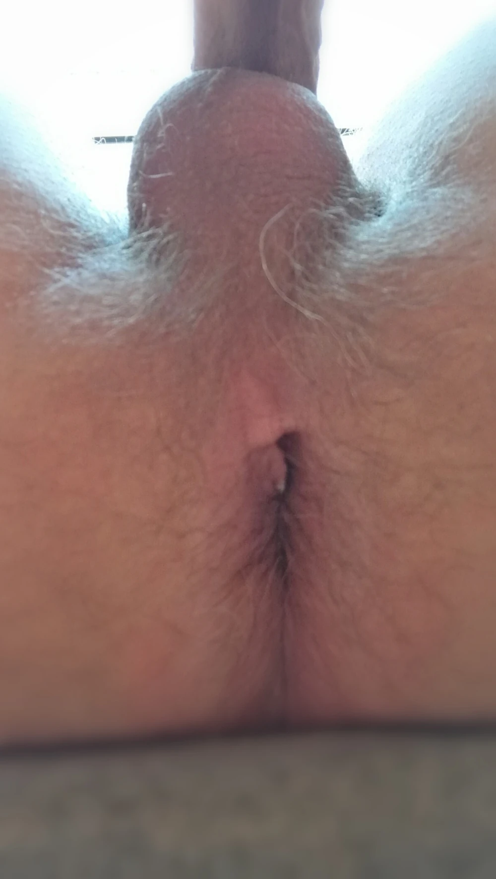 Dick #3