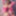 Luna | Roni | Dior Free Photos