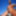 G-Strings and Boner in the Mountains #27