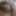 My tiny dick  #6