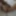 Lizzy Yum orgasm database 2023 #2