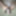 My hot dick new pics