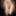Tranny Reverse Trap Femboy