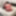 10-22-2021 WEEKLY Video Update to DoggVision VIP Mbrs Area #29