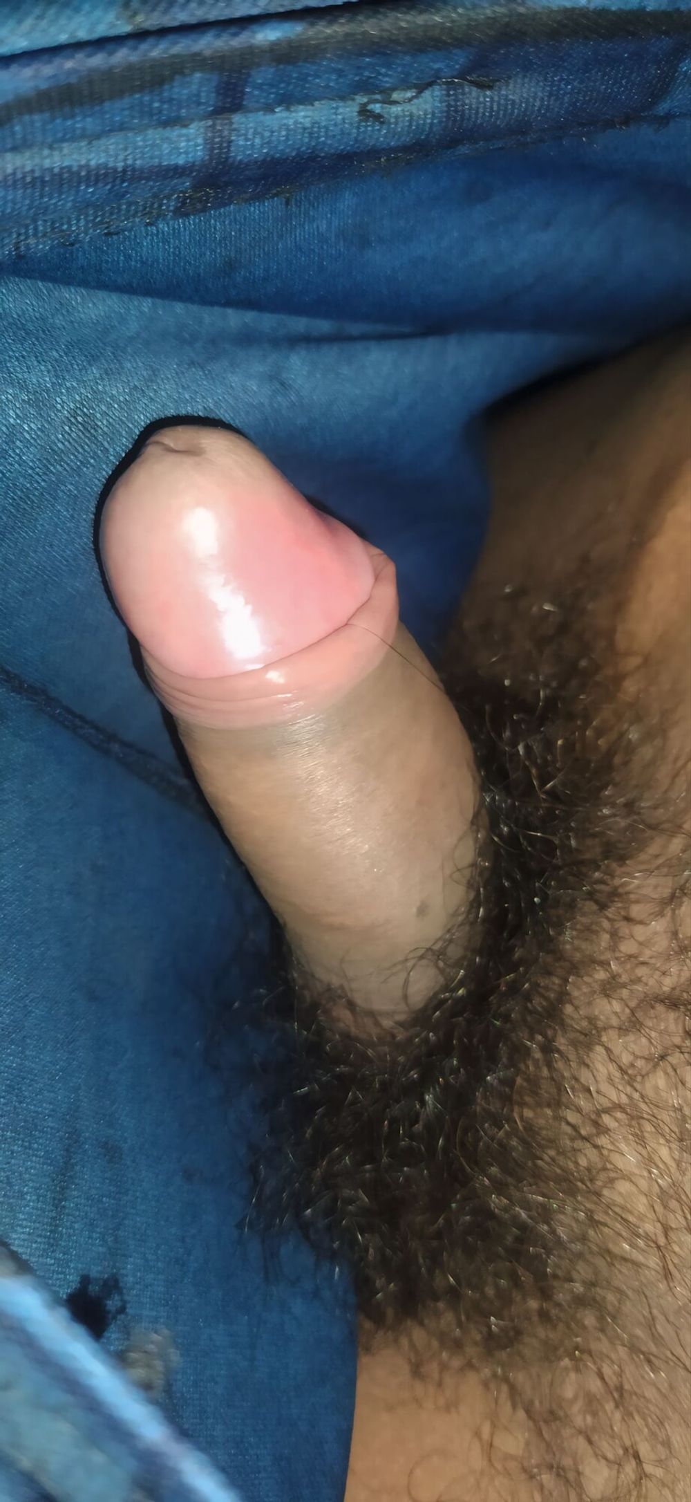 Cock desi boys pic  #2