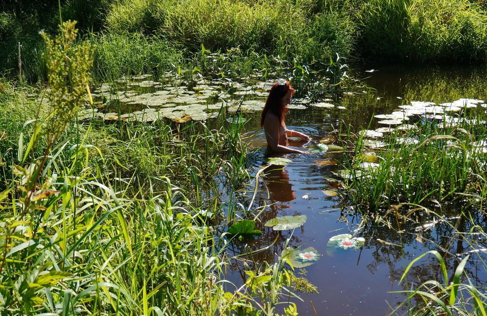 in a weedy pond #5