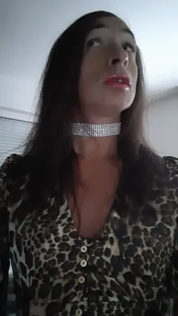 sissy tygra in leopard dress on      octobre         