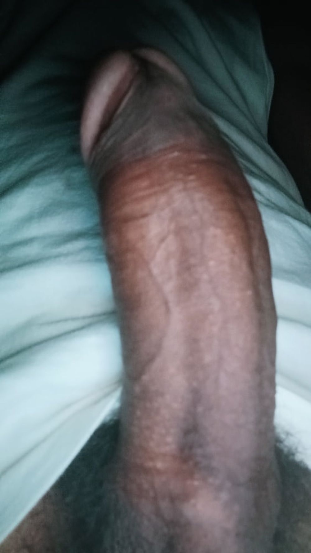 Indian Desi cock 