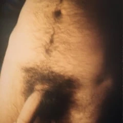 My Dick 