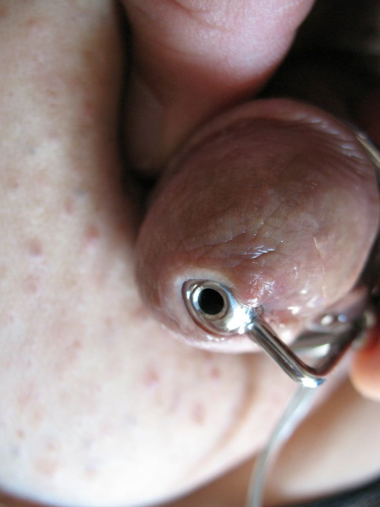 More steel in cock with glans rings #36