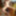 NEW 2019 Pics #44