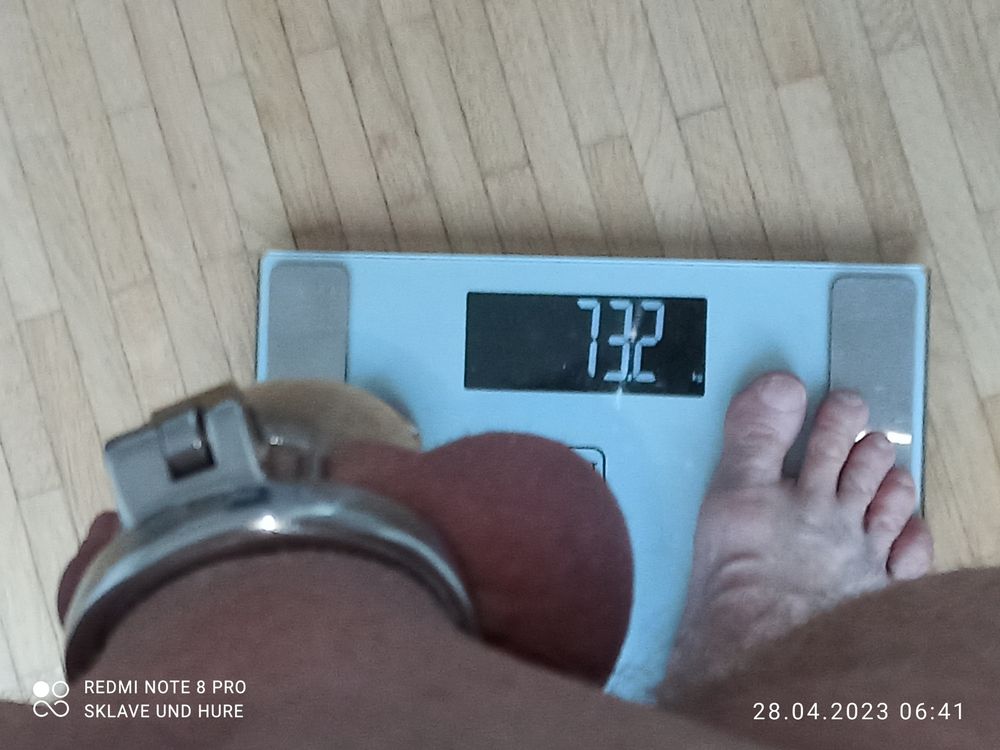 weighing cagecheck 28.04.2023 #21