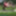 Crossdressing Transvestite Sounding Urethral God Dildo 122 a #4