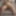 BBW wife ready to be fucked hard