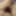 wet micropenis  #5