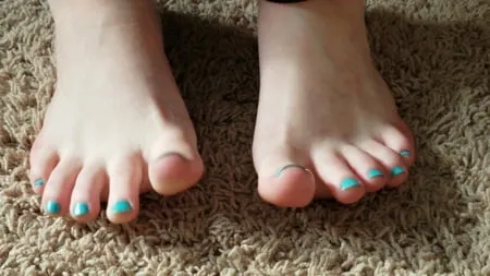 alicias winter soles         