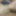 teen cumslut