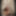 Linda asian ts champagne and big black pearl dildo #21