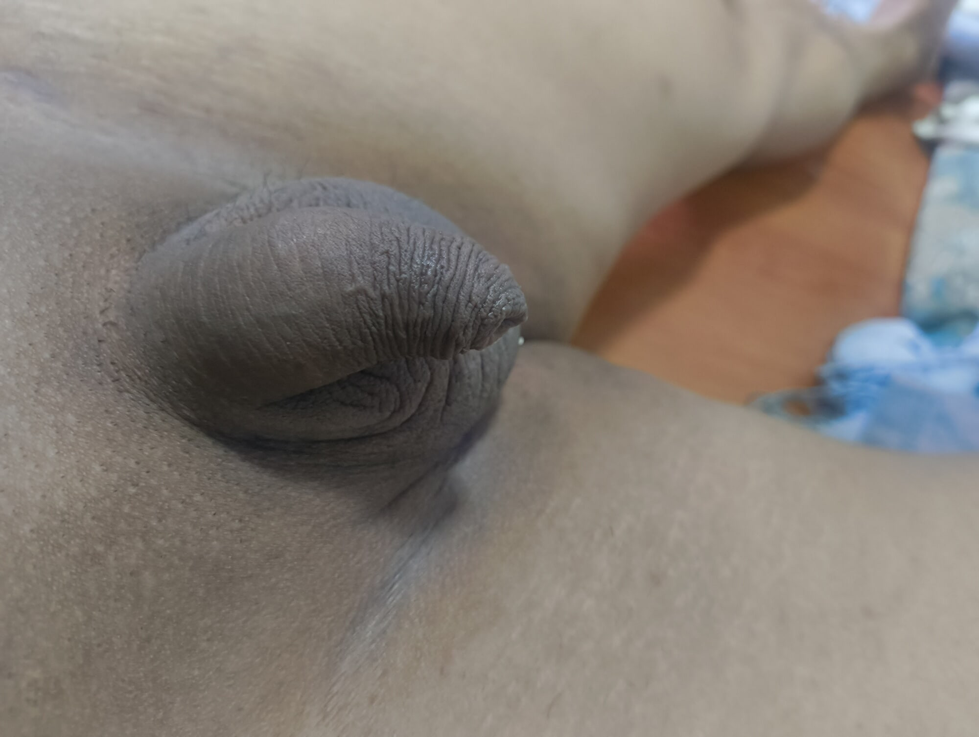 Small Penis Small Dick