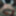Sexy Slut Evelina Ass Fuck GIFs 8