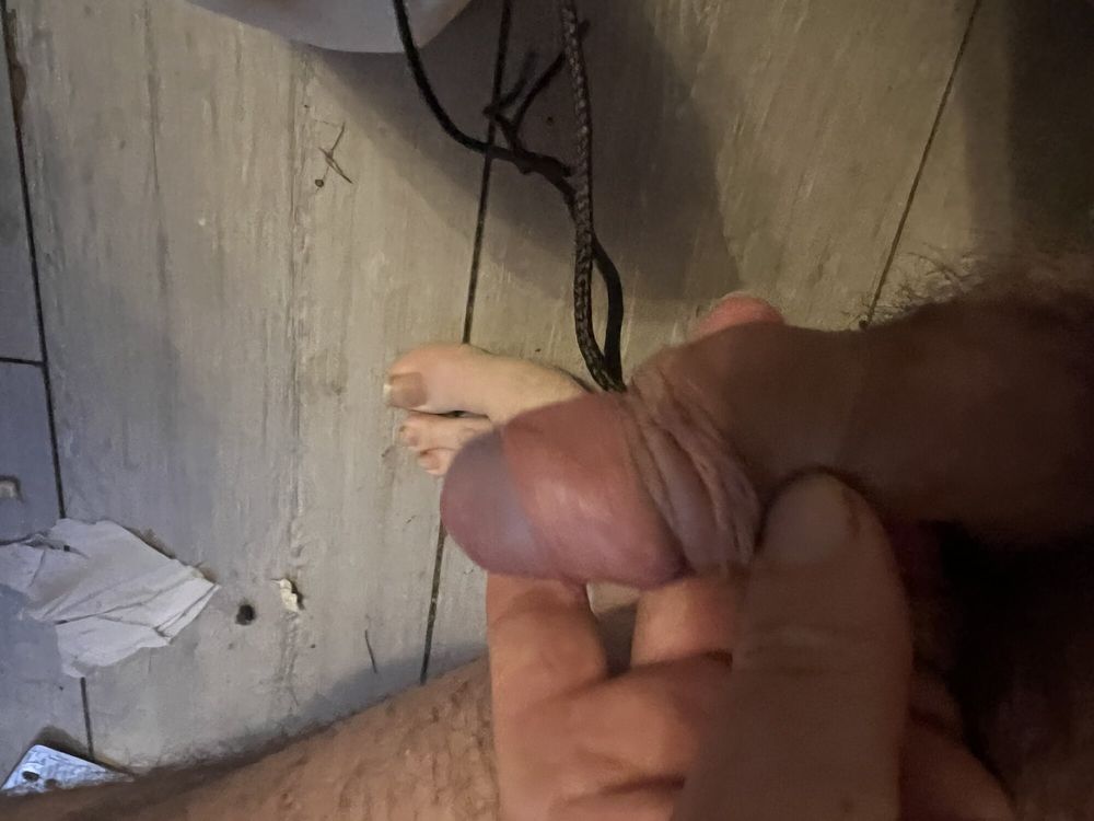 Tied cock #15