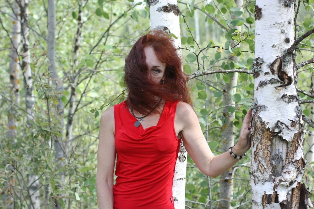 Among Birch #9