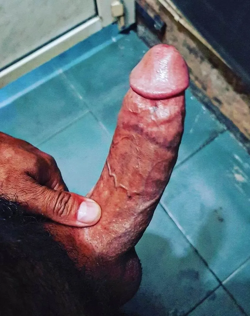 Lebanese hard big dick