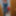 DWilds  Free Photos #6