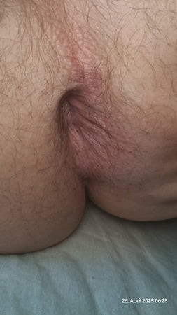 Estoy
