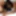 Lick Video Gallery