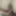 Cum inside my Pussy #14