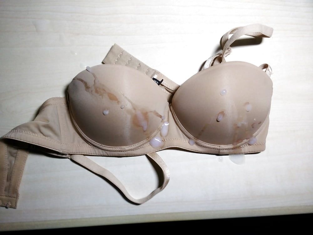 Brown bra #6