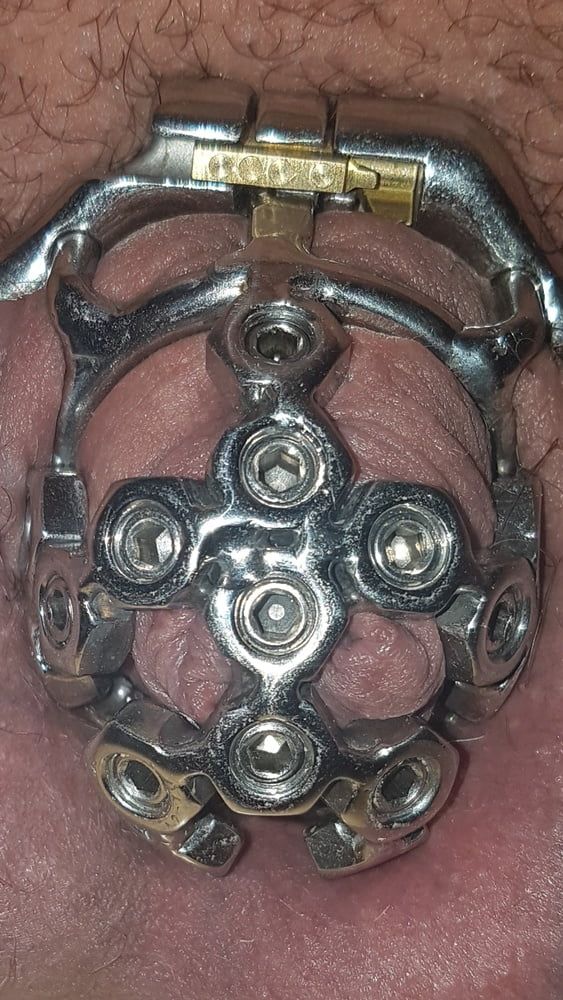 Chastity cage #29