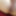 Wer will ficken  #15