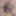 Oktober 12, 2024 Daily duty of the naked slave #4