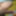 Huge dick