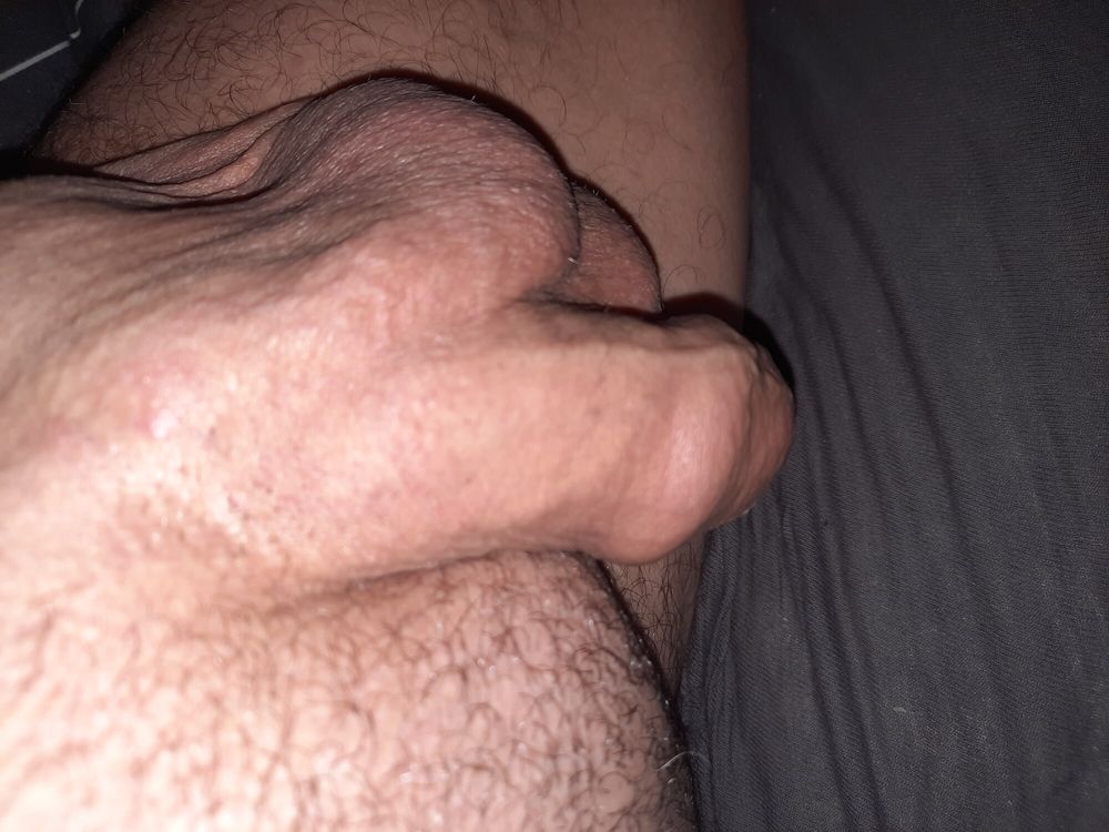 Softy cock  #16