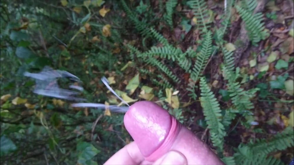 Cumshot Outdoor #11