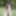 Black cock is fucking blonde and brunette outdoor
