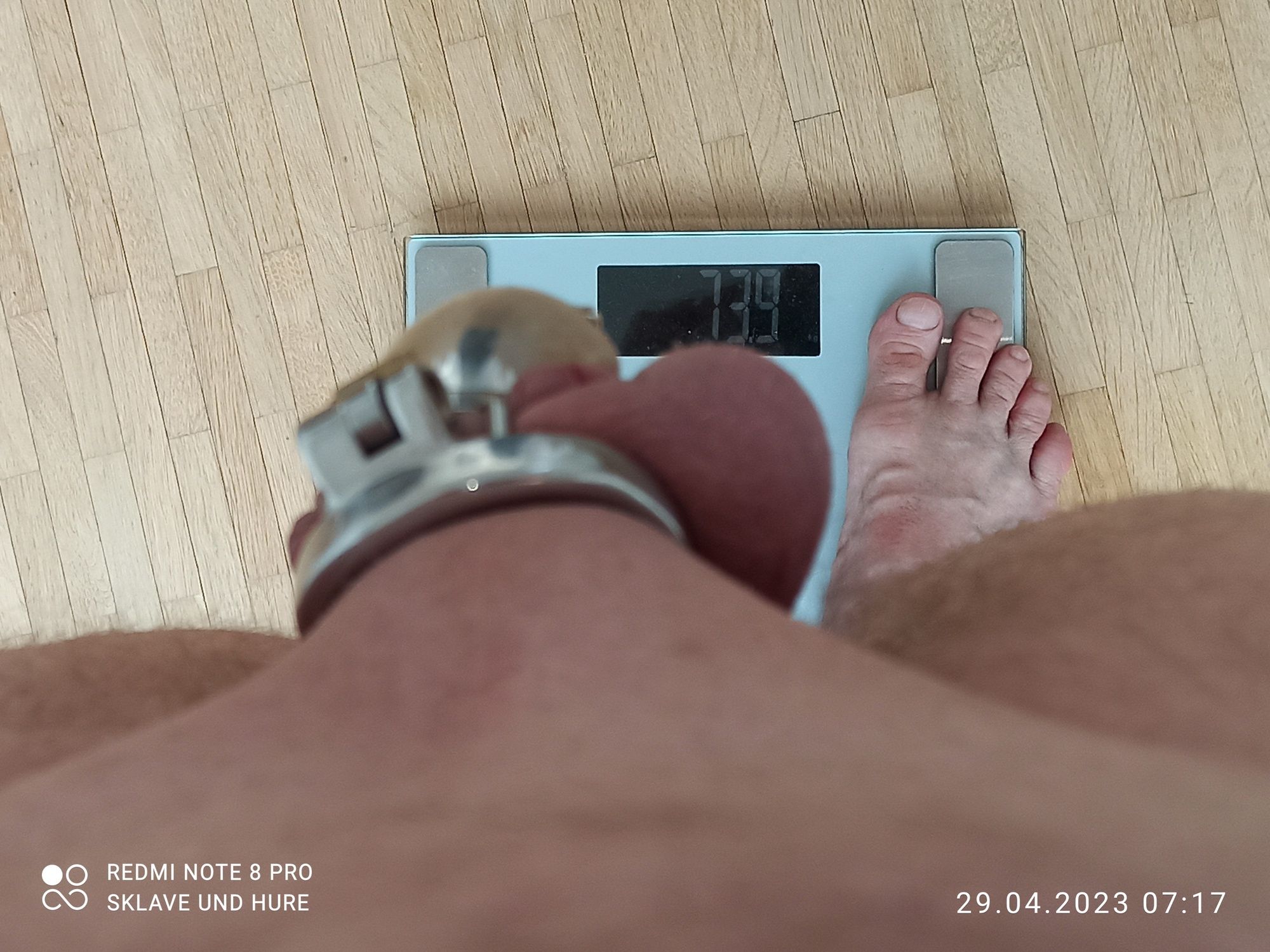 Mandatory weighing cagecheck 29.04.2023 #9