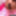 Posing Big Young Ass &amp; Pussy Sheisnovember 4k Closeup